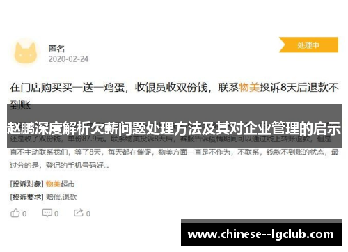 赵鹏深度解析欠薪问题处理方法及其对企业管理的启示