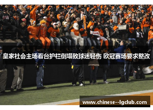 皇家社会主场看台护栏倒塌致球迷轻伤 欧冠赛场要求整改