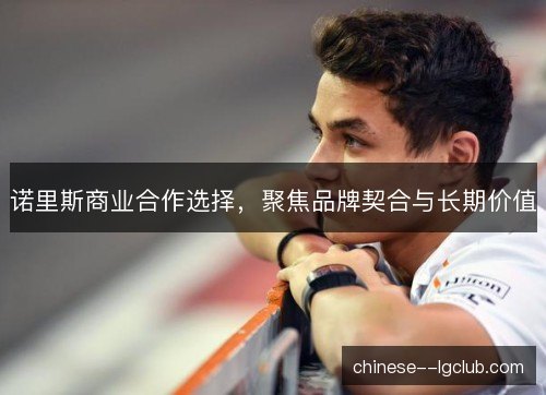 诺里斯商业合作选择，聚焦品牌契合与长期价值